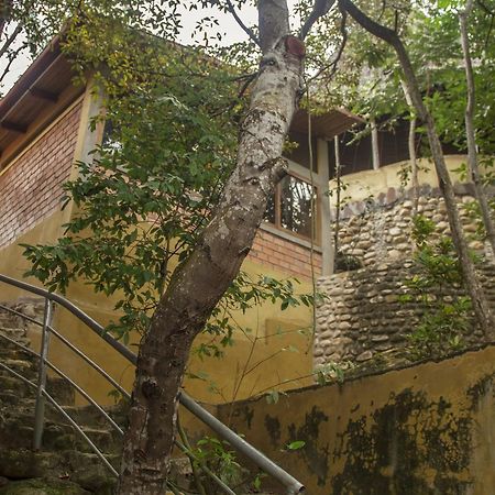 Yacumaman Sanctuary Villa Tarapoto Luaran gambar
