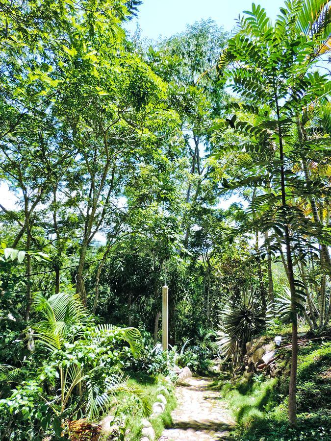 Yacumaman Sanctuary Villa Tarapoto Luaran gambar