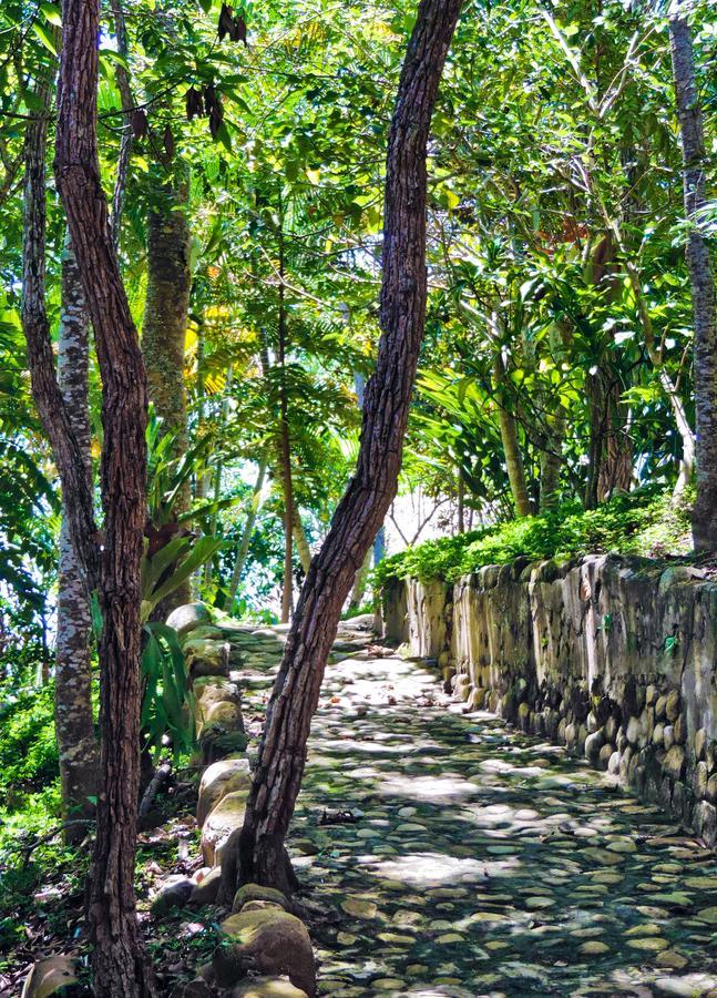 Yacumaman Sanctuary Villa Tarapoto Luaran gambar