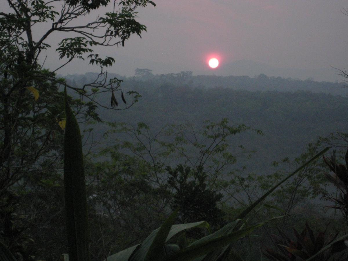 Yacumaman Sanctuary Villa Tarapoto Luaran gambar