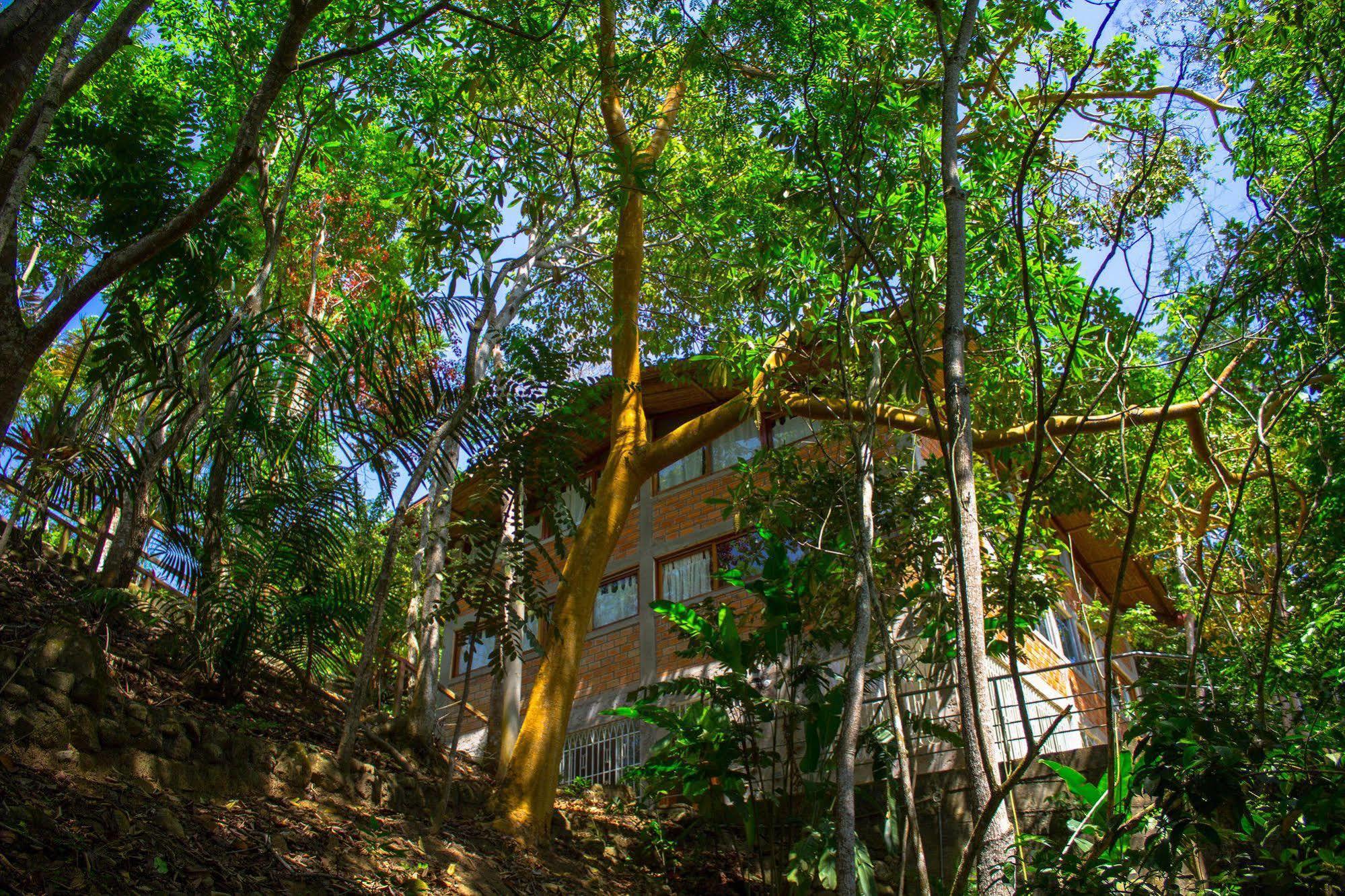 Yacumaman Sanctuary Villa Tarapoto Luaran gambar